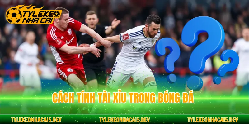 Cách tính tài xỉu trong bóng đá