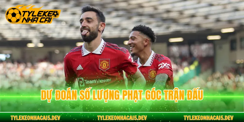 Dự đoán số lượng phạt góc trận đấu