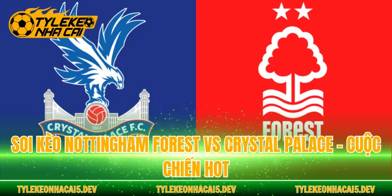 Soi Kèo Nottingham Forest Vs Crystal Palace - Cuộc Chiến Hot
