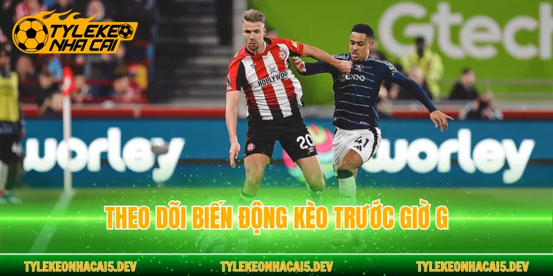 Theo dõi biến động kèo trước giờ G