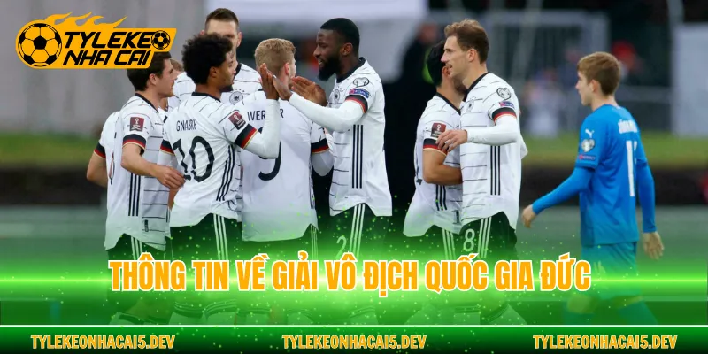 Thông tin về giải vô địch quốc gia Đức